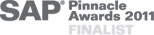 SAP Pinnacle Award Finalist